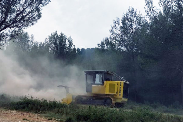 L'automoteur Galotrax GX 250H entretient le sol d'une forêt