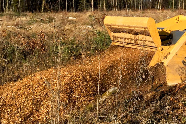 Un broyeur de souches BS 1002 monté sur un automoteur Galotrax entretient le sol près d'une forêt